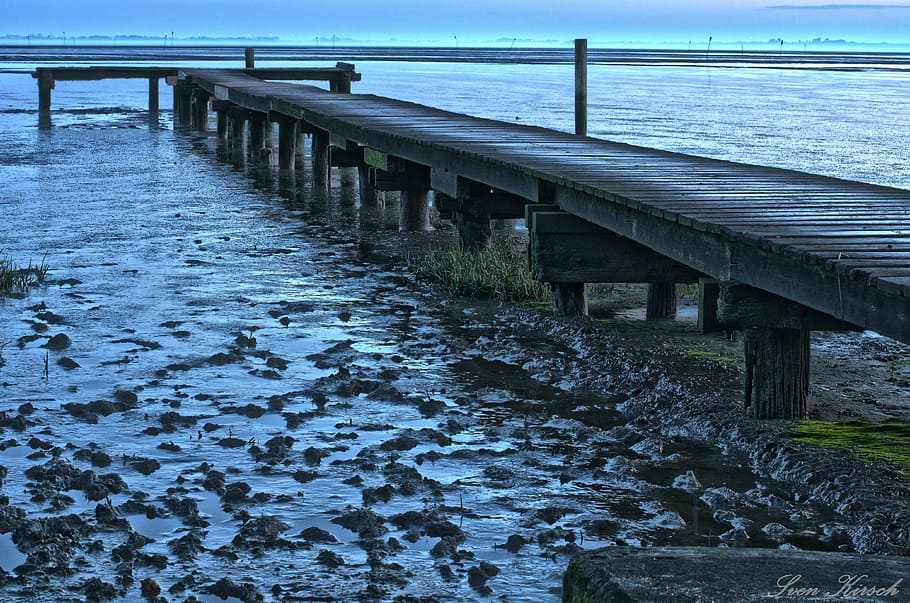 dangast, web, north sea, ebb, wadden sea, landscape, nature HD wallpaper