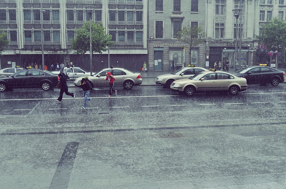 three people running on concrete road beside vehicles and building while raining HD wallpaper