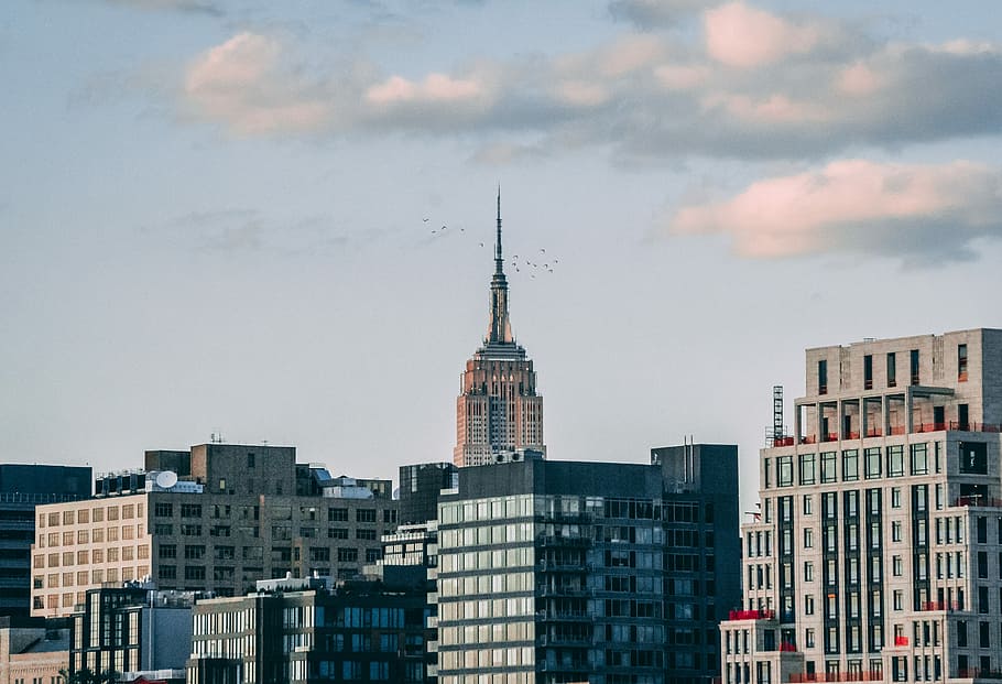photography of high-rise buildings, gray buildings photography HD wallpaper