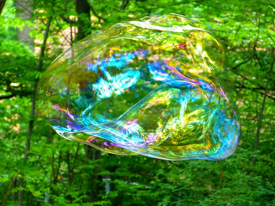 bubble on air near tree, soap bubble, fly, weightless, shimmer HD wallpaper