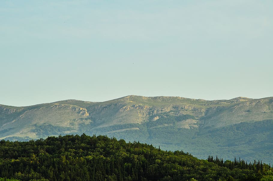 crimea alushta, forest, mountains, beauty in nature, sky, scenics - nature HD wallpaper
