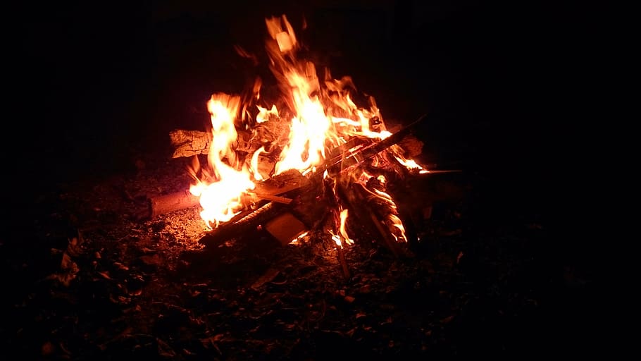 lohri, fire, bonfire, festival, india, punjab, tradition, burning