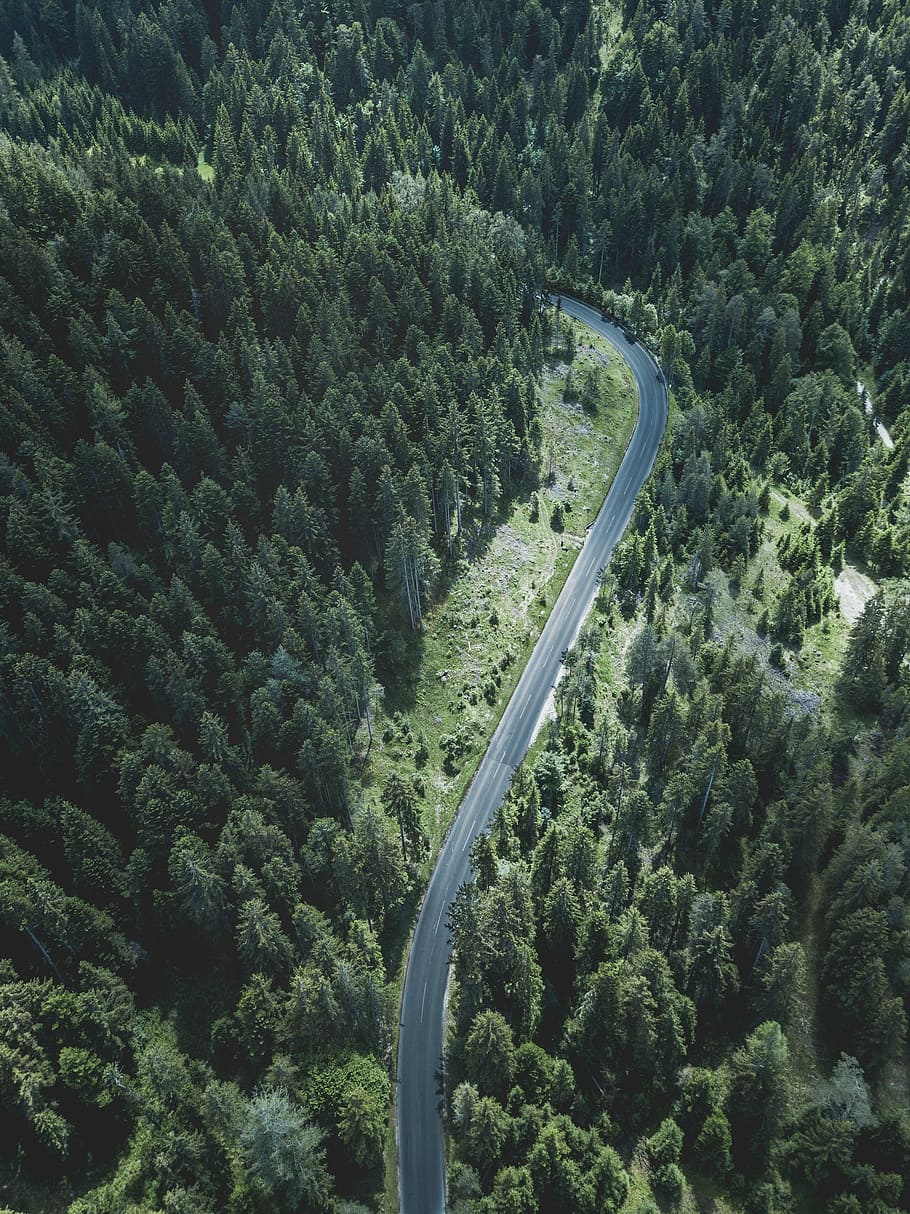 road surrounded by trees, aerial photo of curved concrete road between forest HD wallpaper