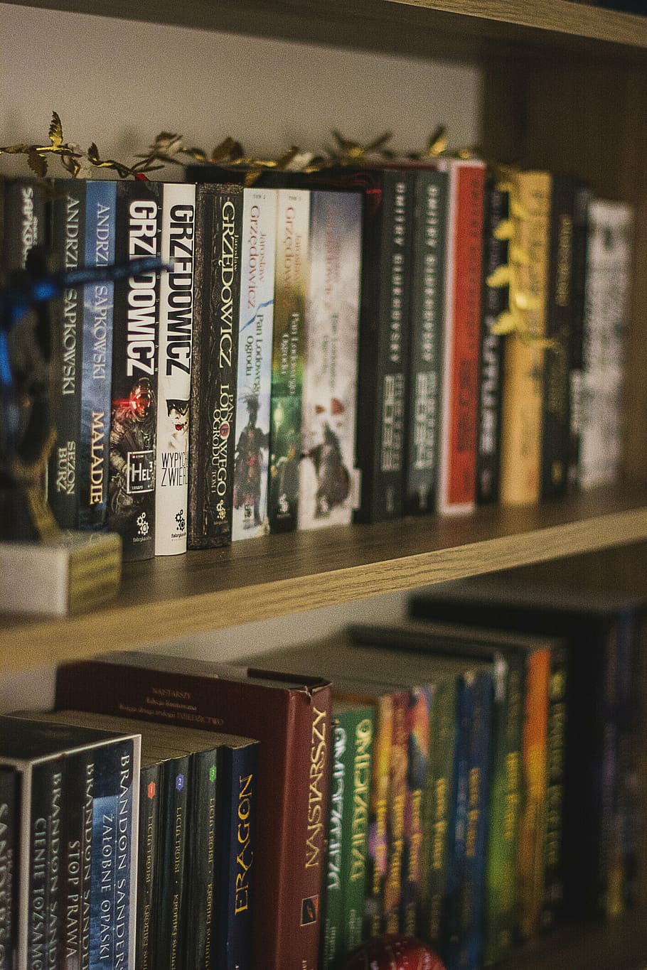 book, library, shelf, shelves, reading, education, science HD wallpaper