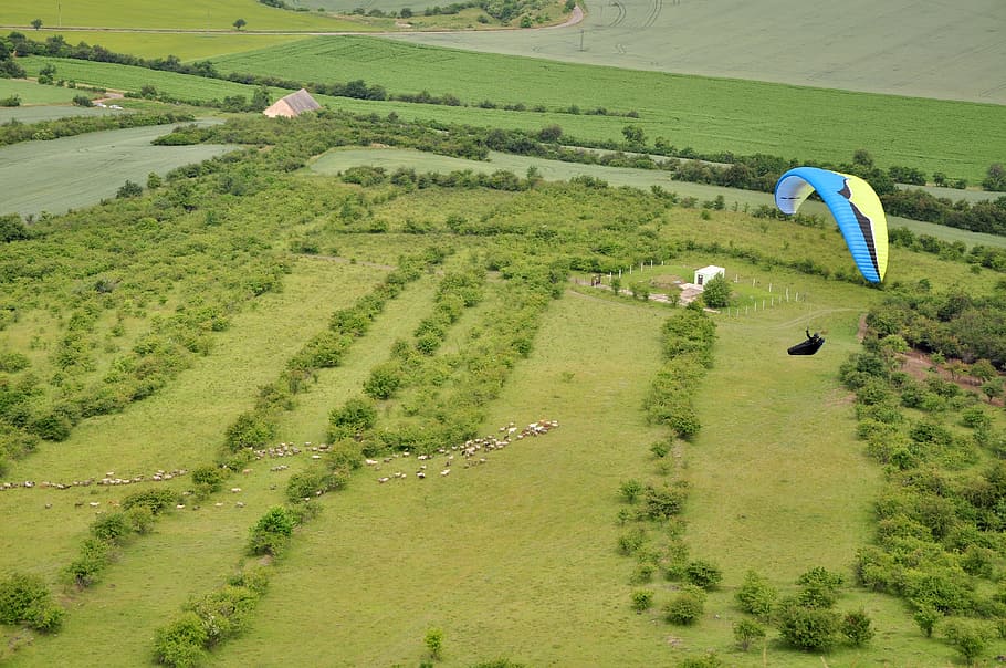 landscape, green, trees, paragliding, sailing, aviator, flying HD wallpaper
