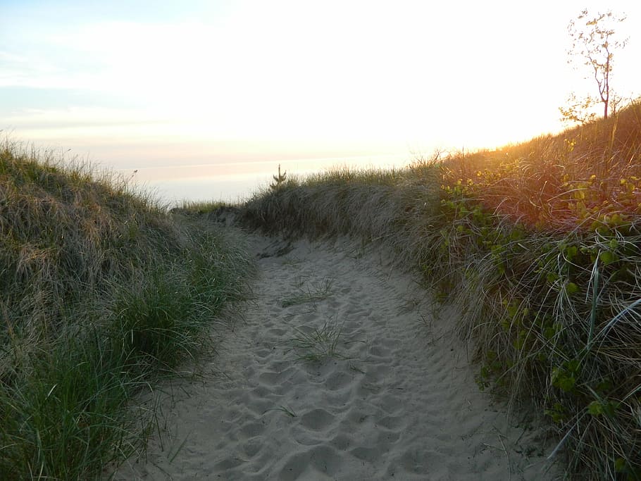 sand, beach, sunset, vacation, sea, summer, coast, shore, grass HD wallpaper