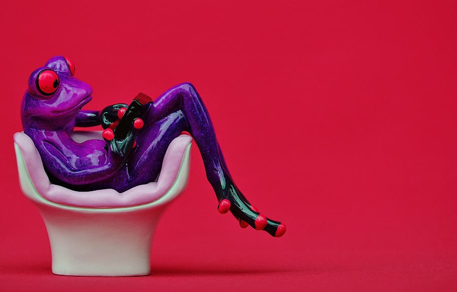 frog, chair, cozy, tablet, pc, computer, cute, sweet, funny HD wallpaper