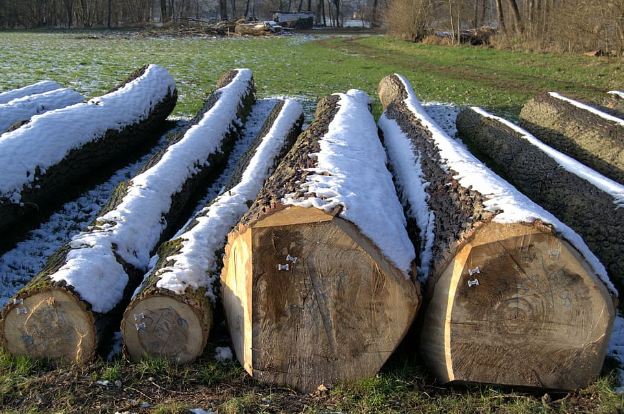 winter, log, snow, wood, cold, snowy, vörstetten, firewood HD wallpaper