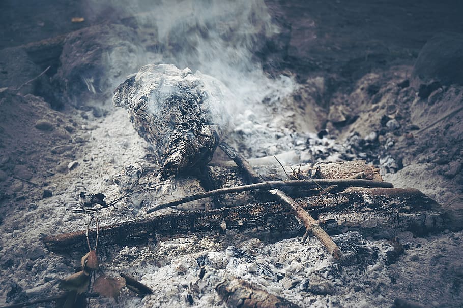close-up photo of bonfire with smoke, campfire, mood, dark HD wallpaper