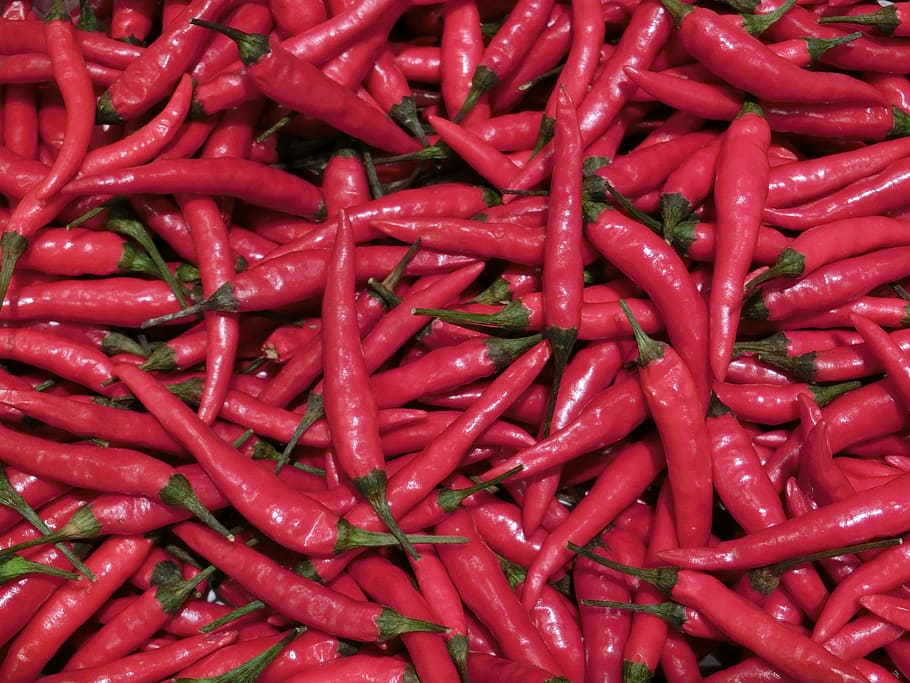 chili, spice, red, sharp, vegetables, full frame, food and drink HD wallpaper