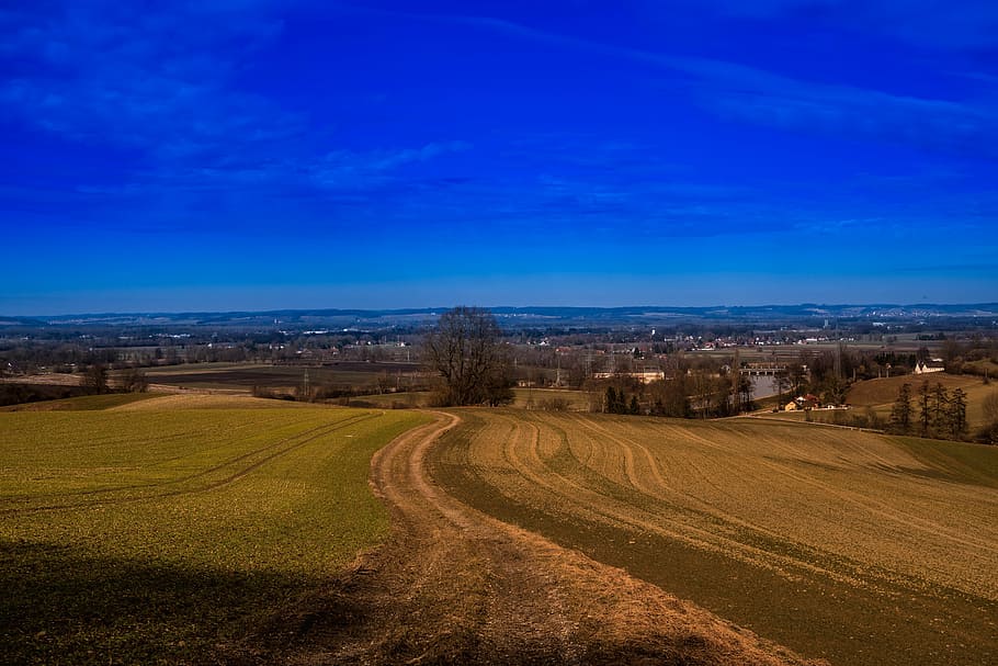 landscape, away, sky, nature, just, spring, lane, promenade HD wallpaper