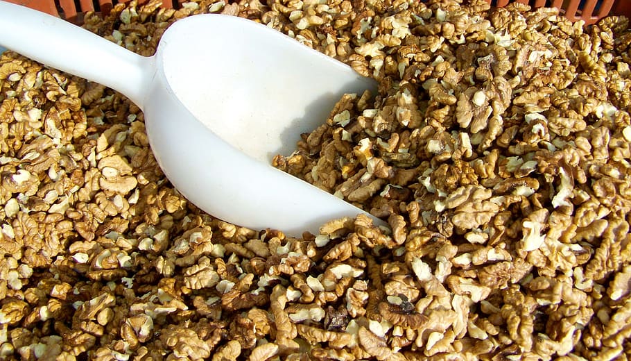 kernel, hard-shelled fruit, walnut harvest, food, food and drink HD wallpaper