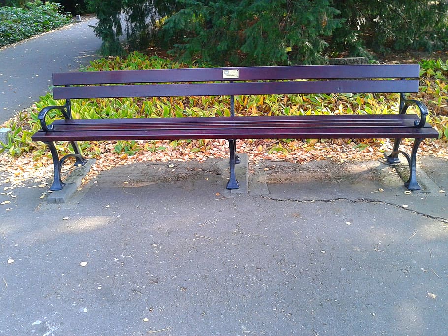 bench, park, garden, square, empty, seat, park bench, park - man made space HD wallpaper