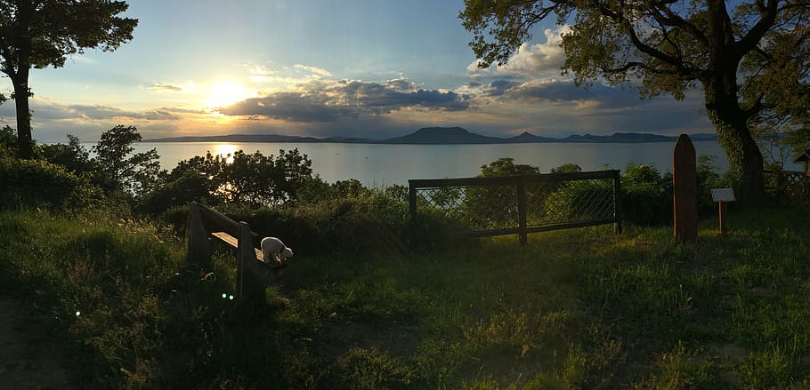 sunset, spring, lake balaton, sky, plant, tree, tranquil scene HD wallpaper