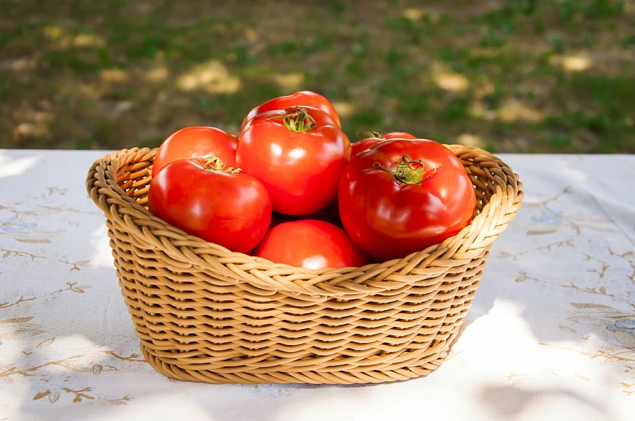 fresh, tomatoes, basket, nature, vegetable, red, organic, raw HD wallpaper