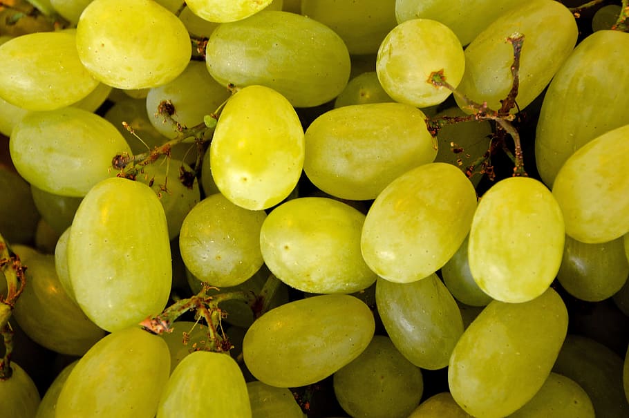 grape, grapes handle, sweet, left untreated, market, purchasing HD wallpaper