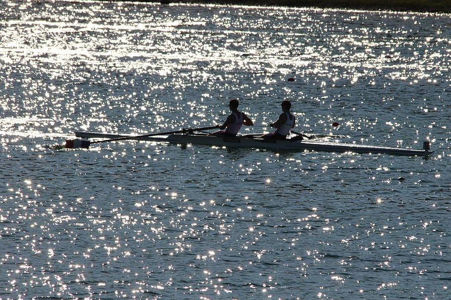 rowing, sport, rower, nautical vessel, water, transportation HD wallpaper