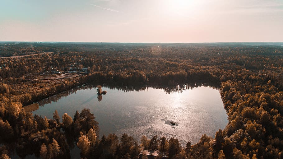 aerial view photography of calm water surrounded by trees, aerial photo of forest and lake HD wallpaper