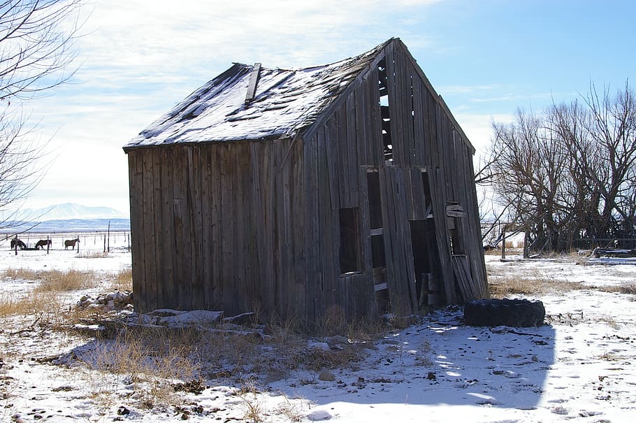 barn, old, rural, rough, old wood, aged, farm, weathered, snow HD wallpaper