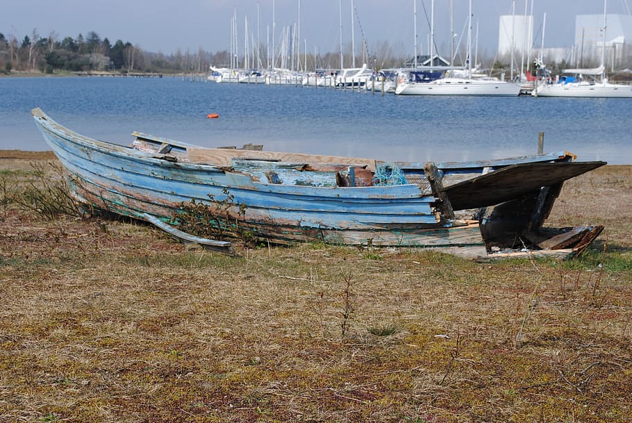 wreck, dinghy, ship, grass, beach, water, nautical vessel, transportation HD wallpaper