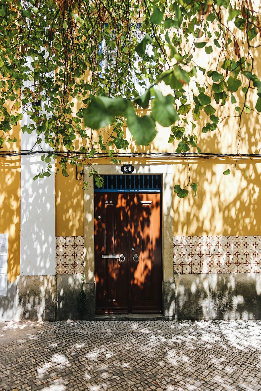 closed door and yellow painted wall, brown wooden 2-panel door HD wallpaper