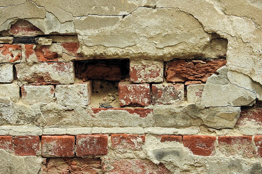 wall, old, break up, facade, dilapidated, leave, architecture HD wallpaper