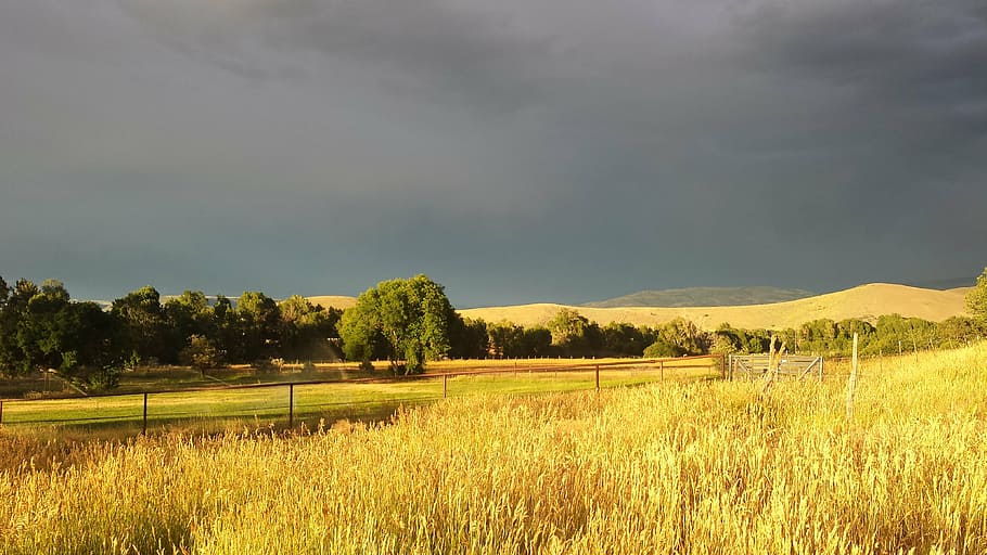 field, sky, storm, nature, landscape, rural, meadow, weather HD wallpaper