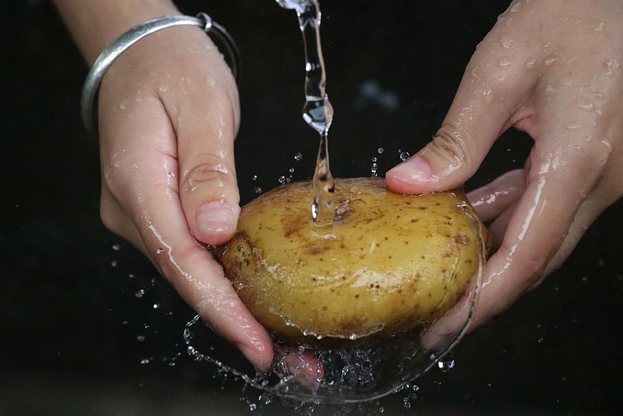 potato, wash, static, human hand, human body part, indoors HD wallpaper