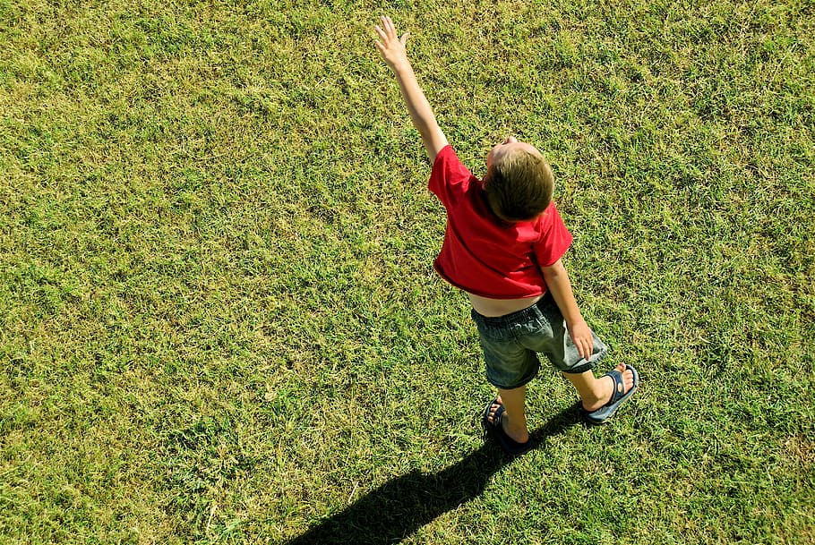 boy standing on green grass field, Pointing, Uplifting, Direction HD wallpaper