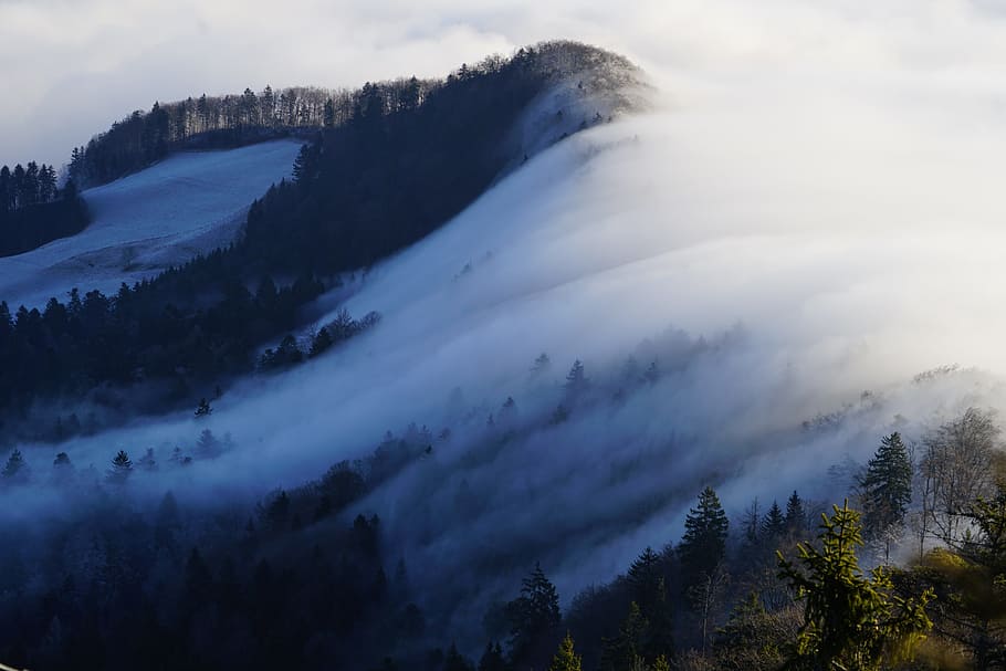 Eastern, Swiss Jura, Fog, eastern jura, nebellandschaft, wave of fog, HD wallpaper