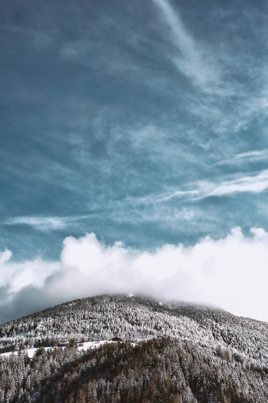 bird's eye view photography of mountain with trees and clouds, mountains near on clouds HD wallpaper