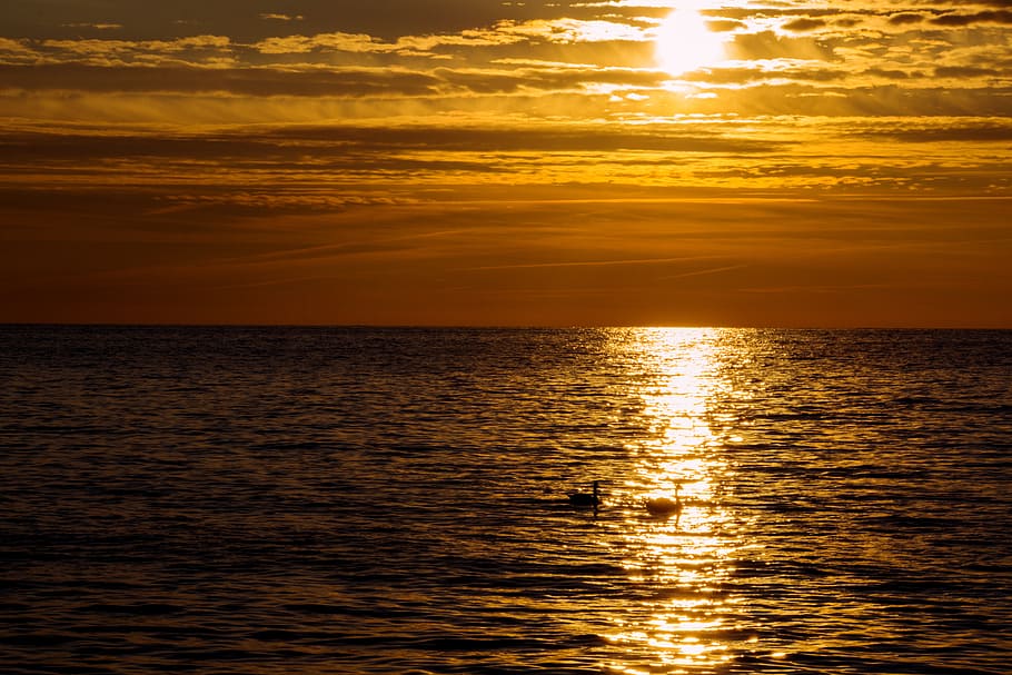 sunset, sea, clouds, swans, orange, red, yellow, rest, baltic sea HD wallpaper