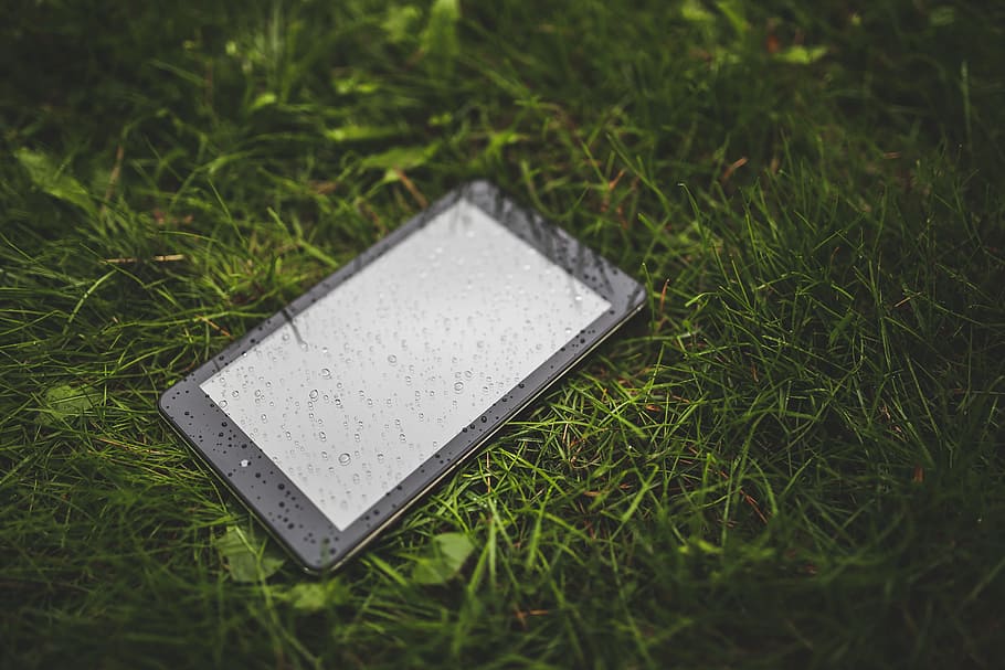 tablet, wet, grass, lawn, technology, rain, plant, no people HD wallpaper