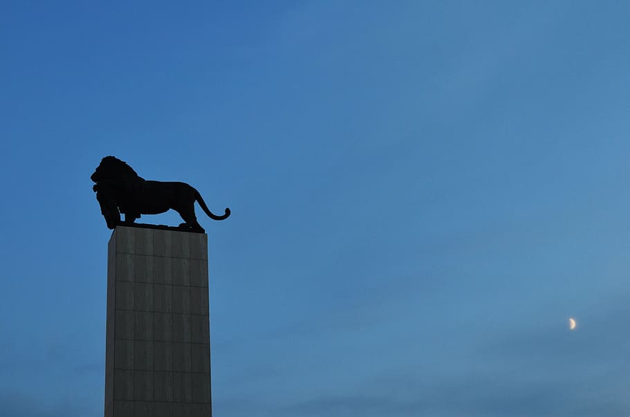 bratislava, slovakia, sculpture, leon, source, statue, monument HD wallpaper