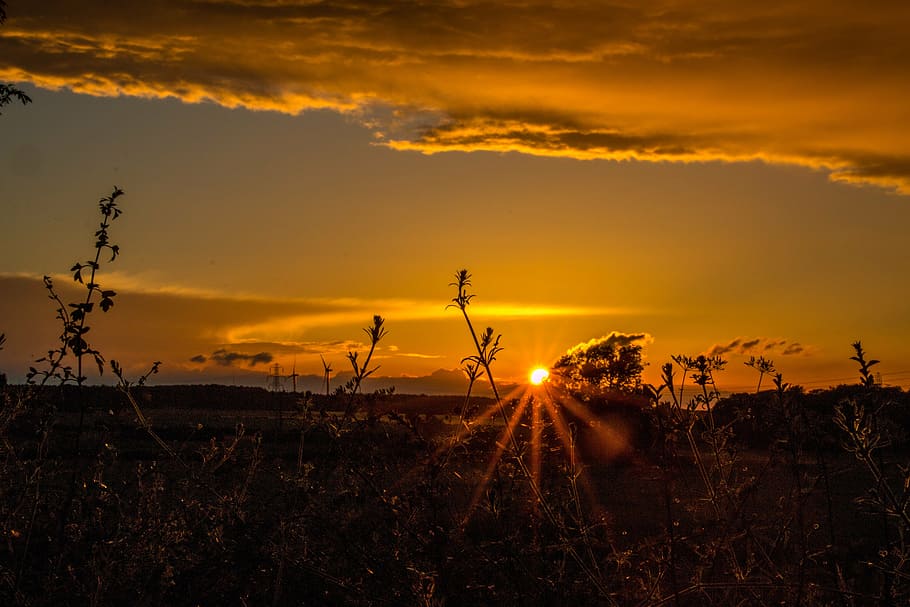 sunset, sunrise, sky, summer, dusk, cloud - sky, beauty in nature HD wallpaper