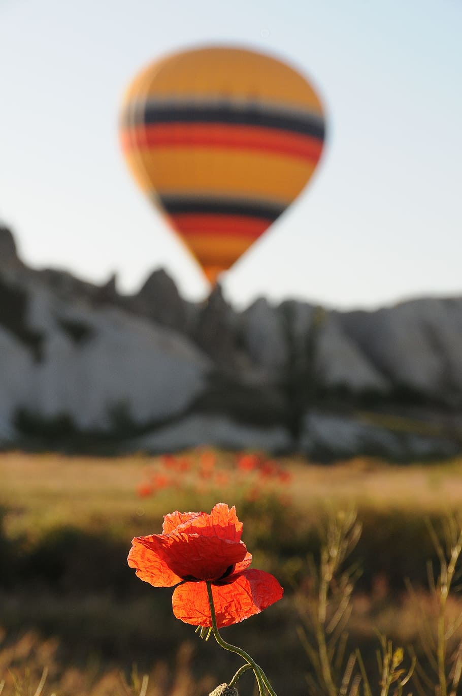 balloon, ballooning, cappadocia, turkey, poppy, red, rock, stone
