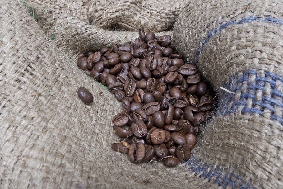 coffee, the drink, caffeine, brown, coffee beans, grains, fresh HD wallpaper