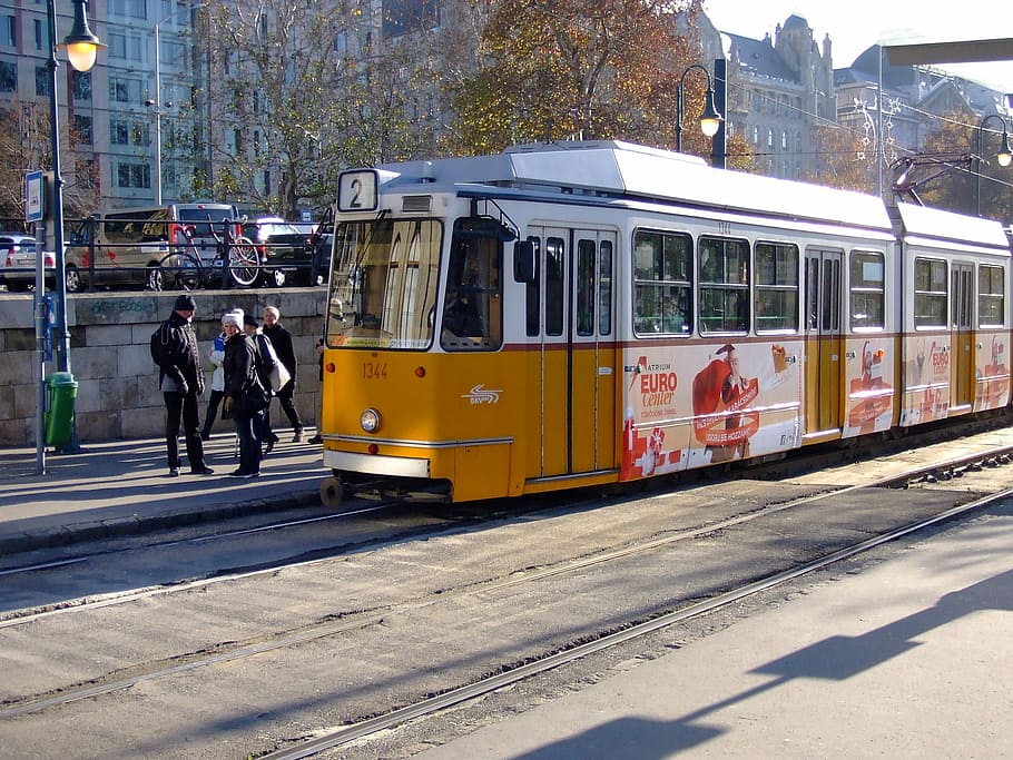 Tram, Budapest, Hungary, transportation, public transportation HD wallpaper
