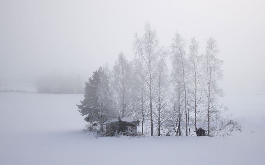 gray wooden house covered with snow at daytime, finland, field HD wallpaper