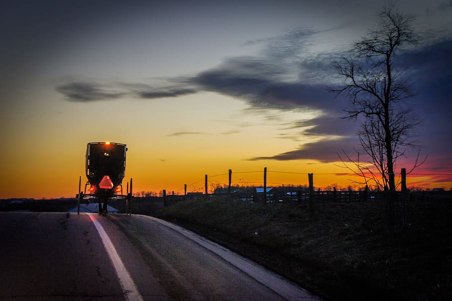 Buggy, Evening, Twilight, Carriage, sunset, dusk, nature, outdoors HD wallpaper