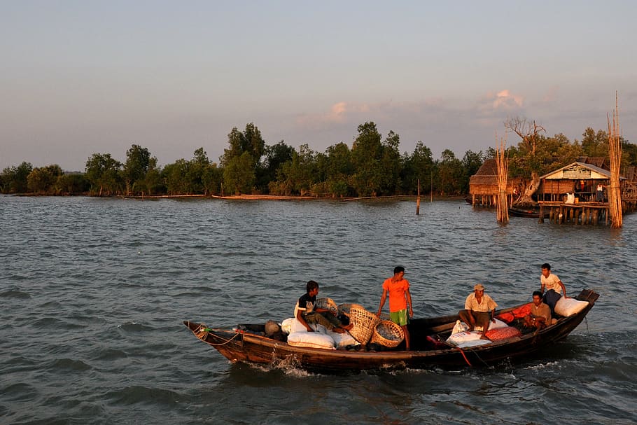 irrawaddy, delta, myanmar, burma, freshwater, people, fishing, HD wallpaper