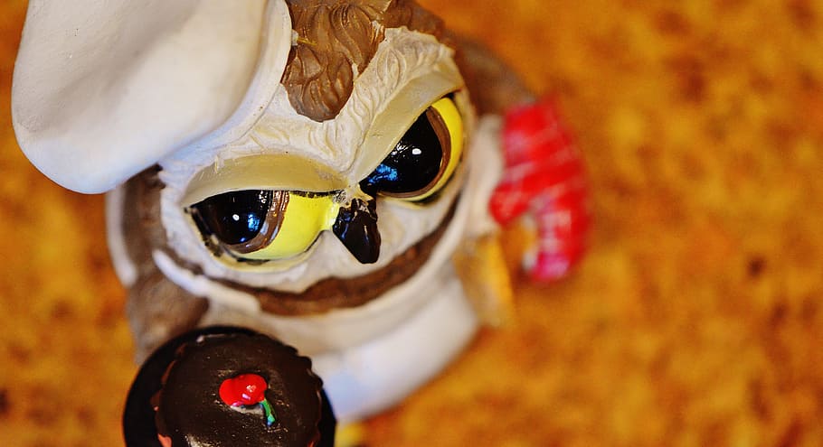 Owl, Bake, Baker, Cupcake, Cute, funny, sweet, baked, pastry art HD wallpaper