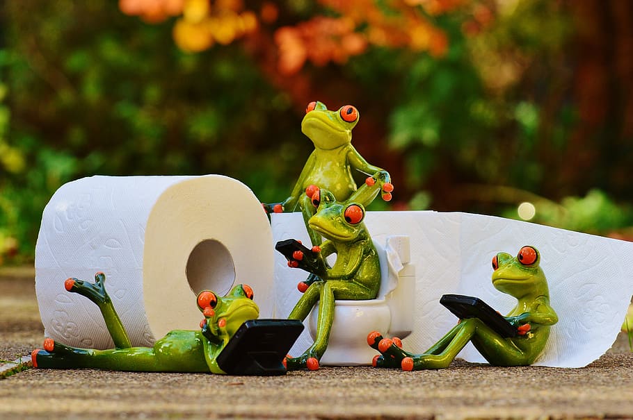 selective focus photography of several red eyed tree frog figurines beside white toilet paper roll HD wallpaper