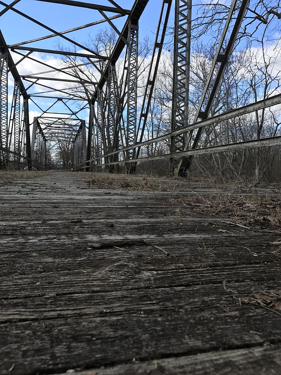bridges, scenic, landscape, tree, sky, connection, nature, bare tree HD wallpaper