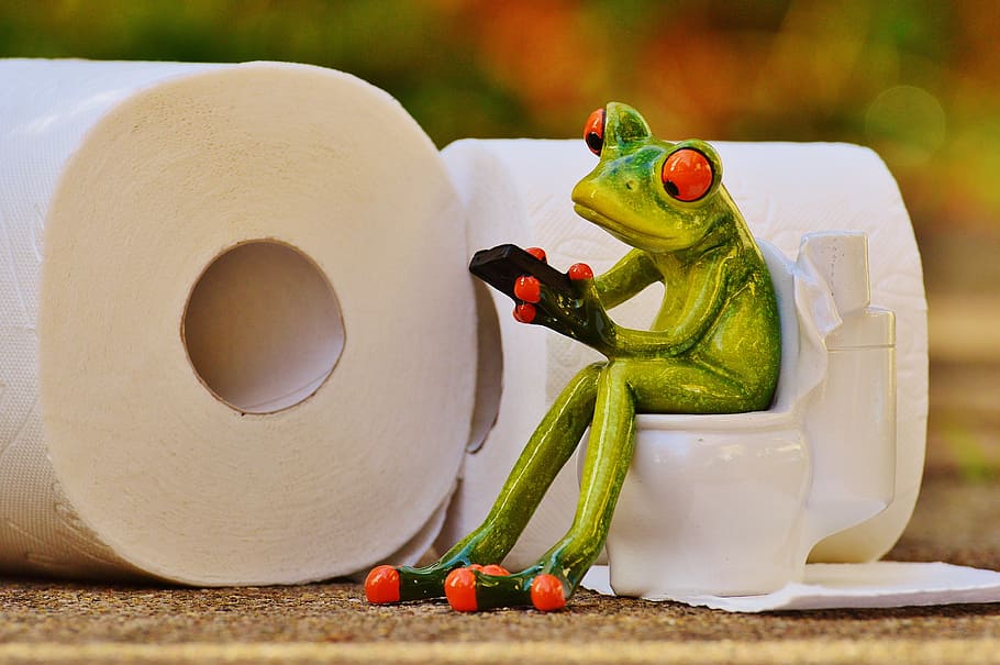 selective focus photography of green ceramic frog figurine, Toilet