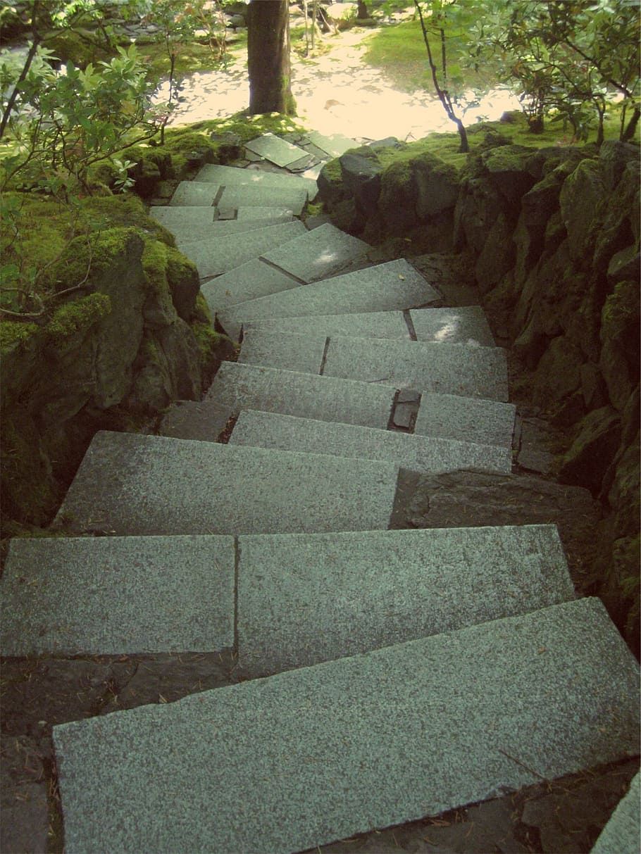 gray concrete stair beside green rocks with algae, stairs, surrounded HD wallpaper
