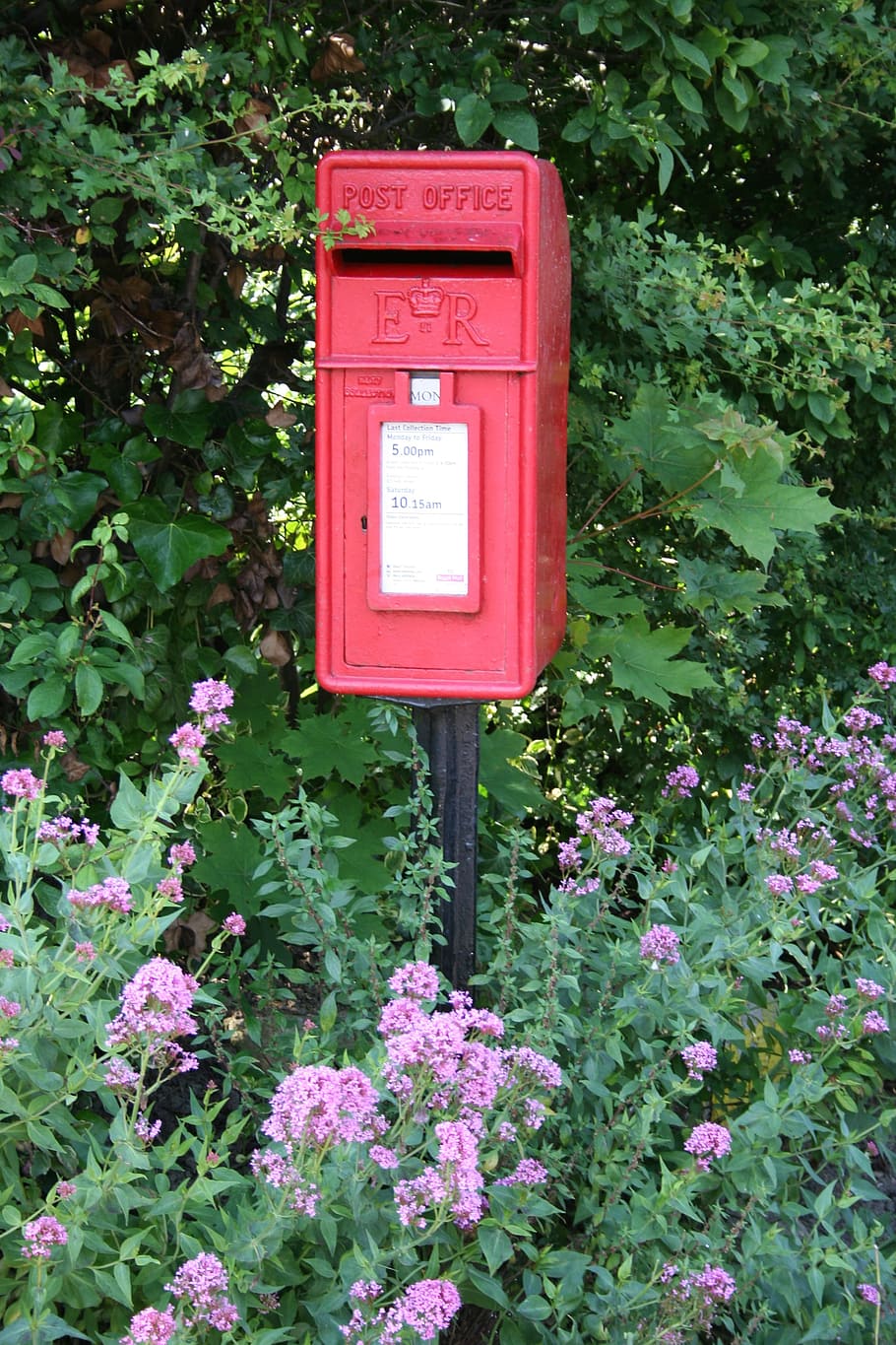post box, letter, england, plant, growth, mail, mailbox, no people HD wallpaper