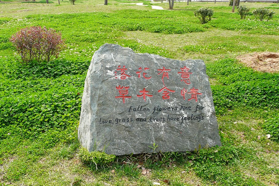 china, shield, caption, plant, grass, day, no people, nature HD wallpaper