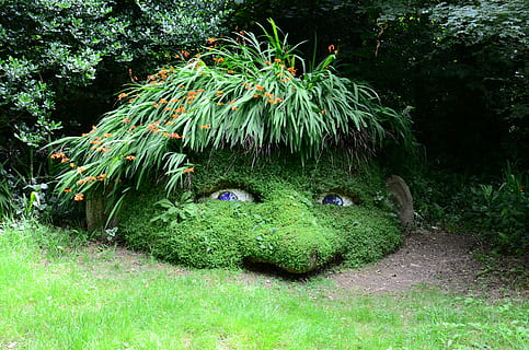 green grass form human head, gnome, dwarf, eyes, view, to watch HD wallpaper