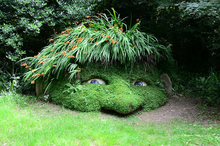 green grass form human head, gnome, dwarf, eyes, view, to watch HD wallpaper
